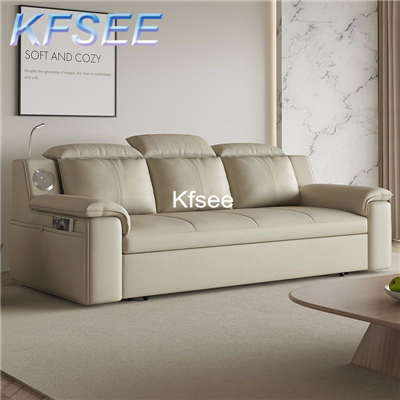 650usd Kfsee 1Pcs A Set Weibog ins 250cm length Sofa Bed