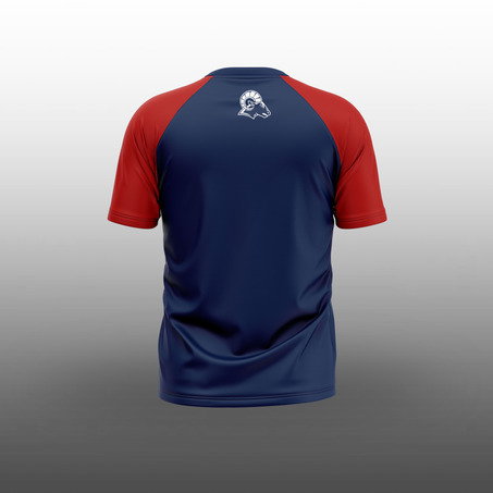 AISG-Elementary PE Shirt-3
