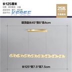 130usd Kfsee Ceiling Lamp