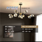 150usd Kfsee Ceiling Lamp