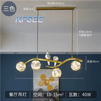 100usd Kfsee Ceiling Lamp