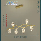 100usd Kfsee Ceiling Lamp