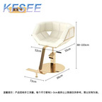 200usd Kfsee Salon Chair