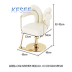 200usd Kfsee Salon Chair