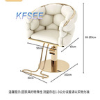 200usd Kfsee Salon Chair