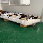 900usd 160cm length Kfsee Sofa