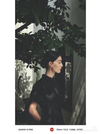 Jia Wen-6