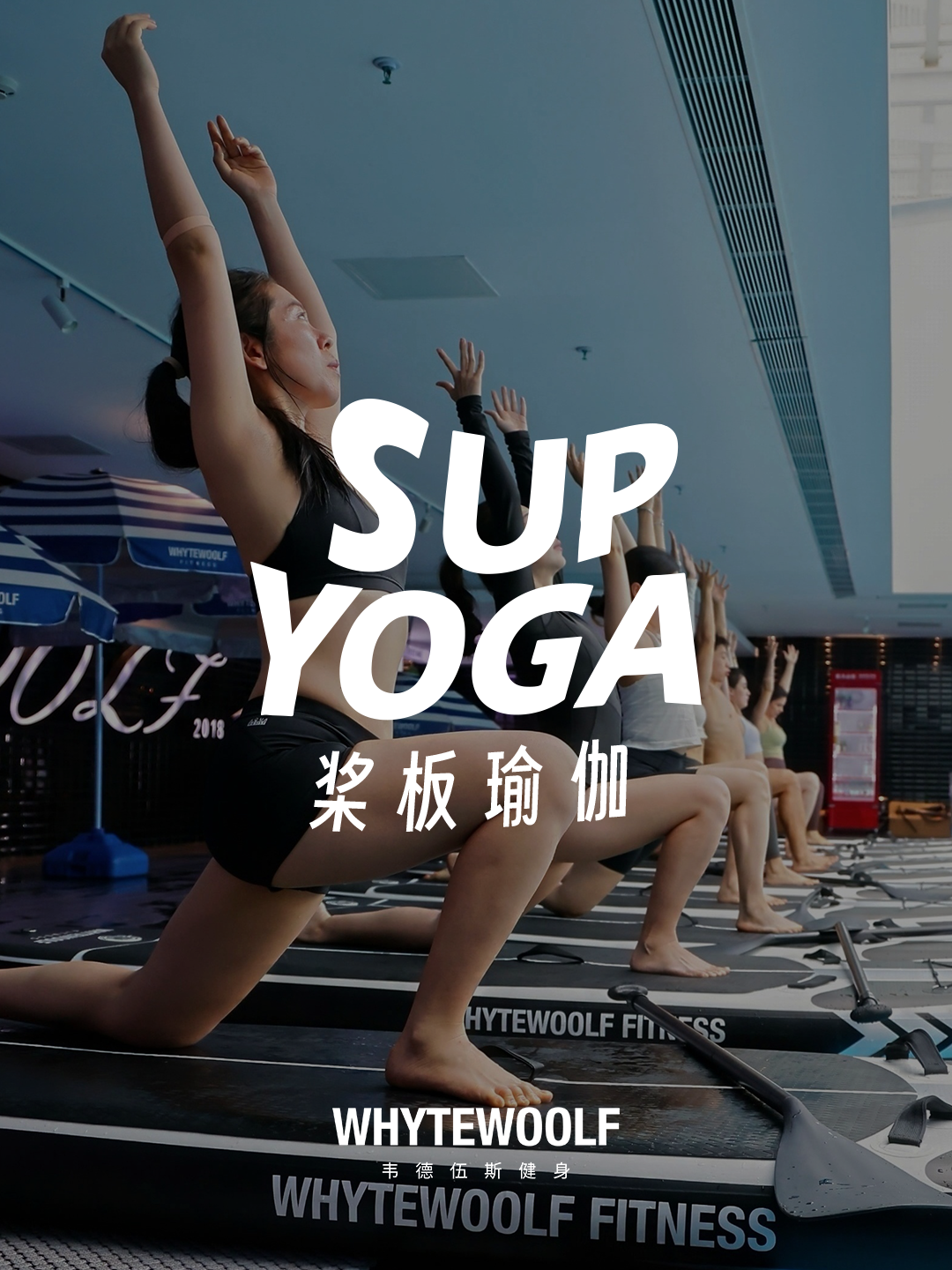 韦德伍斯健身官方网站