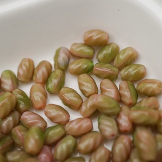 粉绿mix渐变色~迷你螺旋椭圆百搭捷克珠玻璃珠 5X8MM