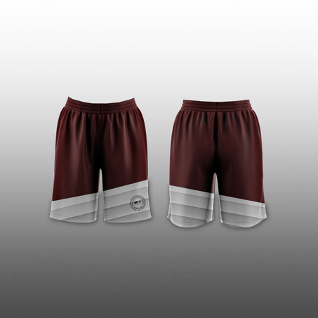 Girl Basketball Shorts 女生篮球短裤-2