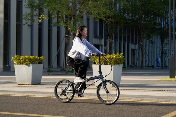 大行DAHON KBC083/P8 骑乐无穷 轻松通勤